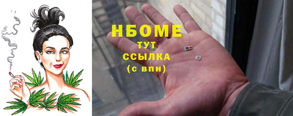 ПСИЛОЦИБИНОВЫЕ ГРИБЫ Алзамай